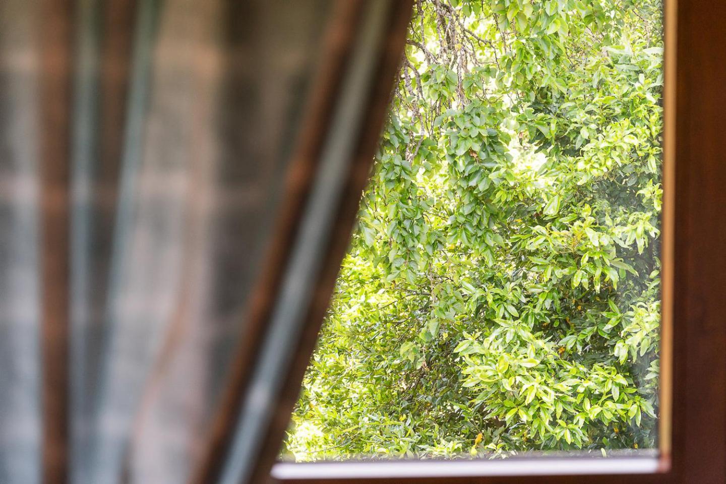 Casa Museu Da Geada - Rural Hotel シンファンイス エクステリア 写真